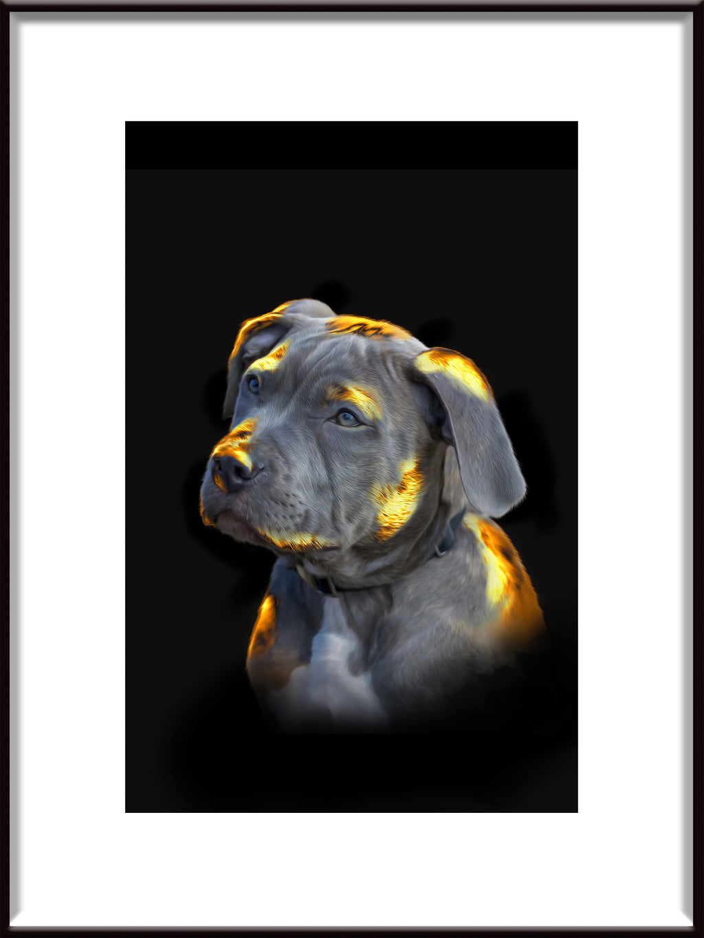 Luxury Pet Portrait Gold

Lyxigt Husdjursporträtt guld