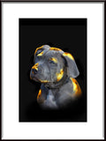 Luxury Pet Portrait Gold

Lyxigt Husdjursporträtt guld