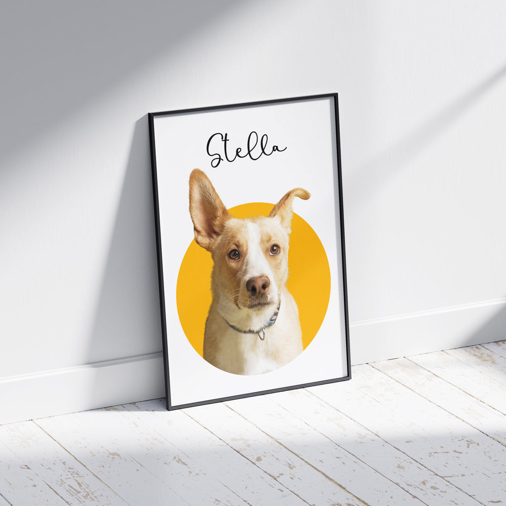 Modern Pet Portrait

Modernt Husdjursporträtt