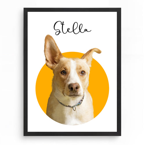 Färgstark Cirkel – Modernt Husdjursporträtt
