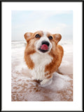 Custom Pet Photo Print

Personlig Husdjurstavla från Foto 