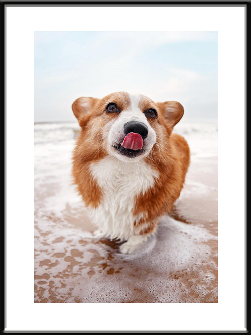Custom Pet Photo Print

Personlig Husdjurstavla från Foto 