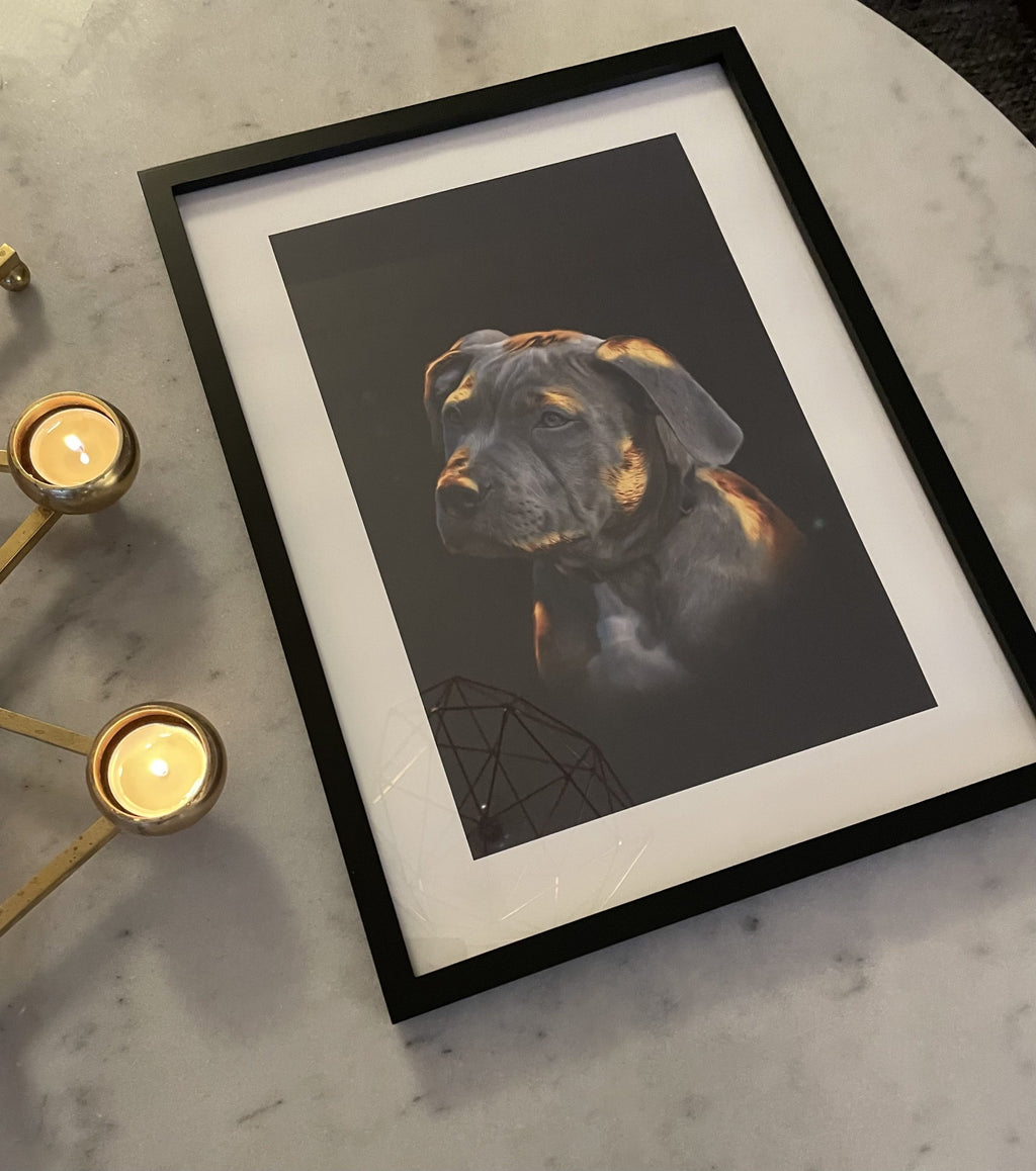 Luxury Pet Portrait Gold

Lyxigt Husdjursporträtt guld