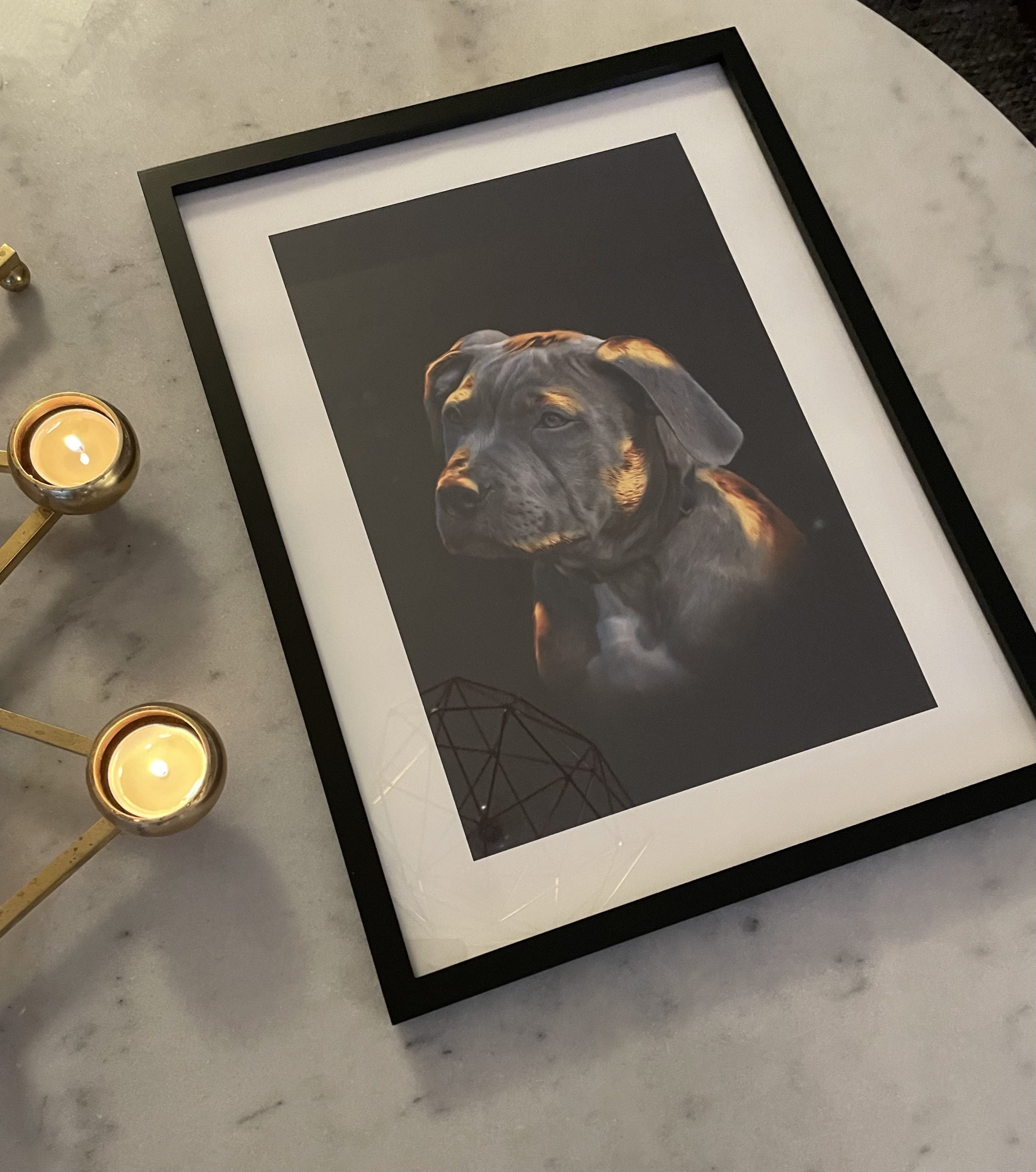 Luxury Pet Portrait Gold

Lyxigt Husdjursporträtt guld