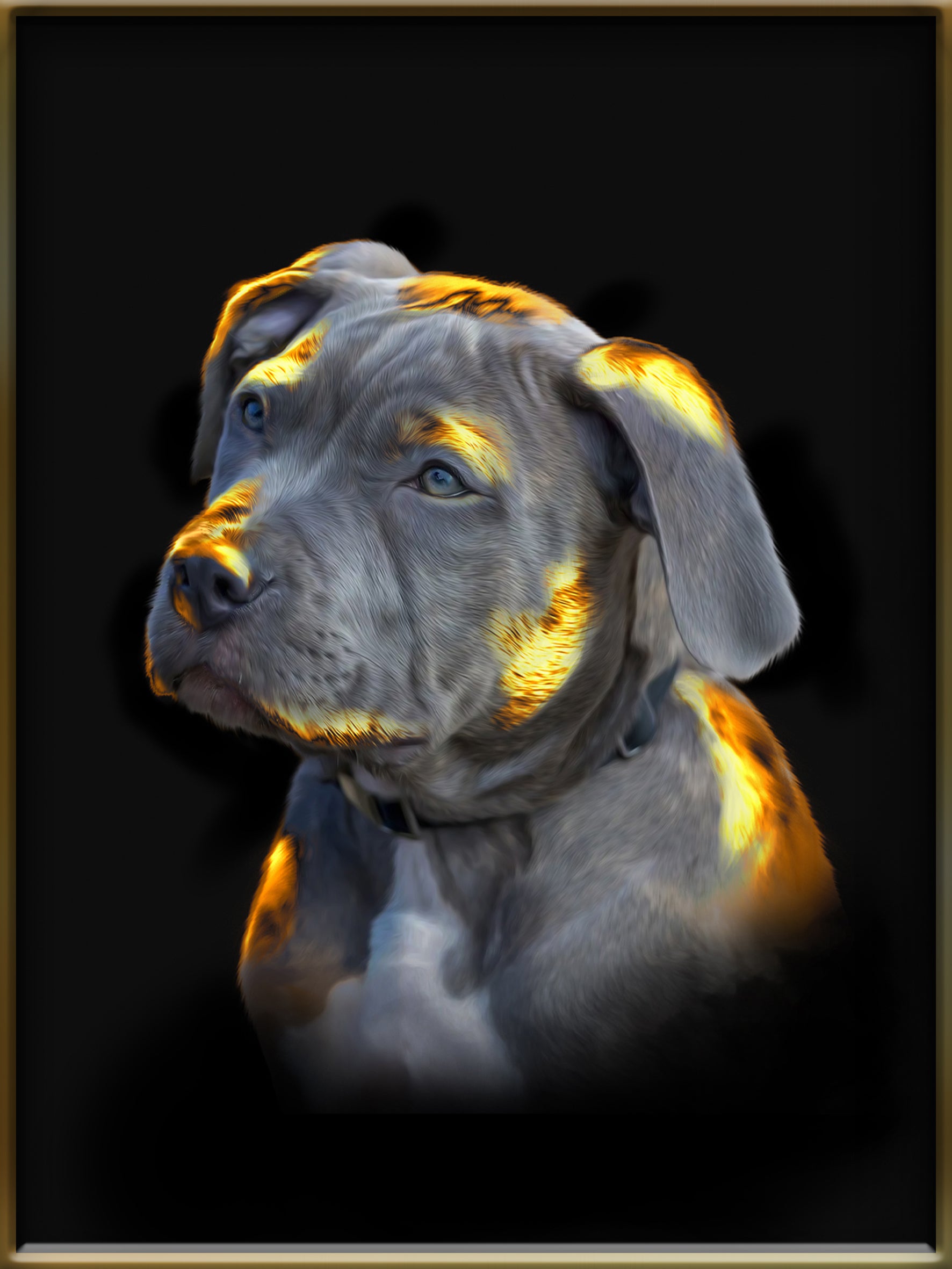 Luxury Pet Portrait Gold

Lyxigt Husdjursporträtt guld