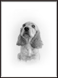 Custom Pet Portrait Sketch

Skiss Husdjursporträtt