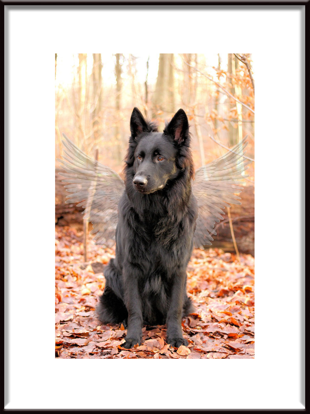 Pet Memorial Poster Wings

Minnesposter för Husdjur Vingar