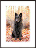 Pet Memorial Poster Wings

Minnesposter för Husdjur Vingar